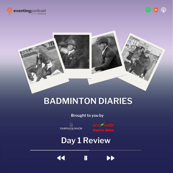 Badminton Diaries: Day 1 Review