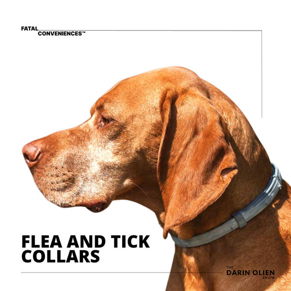 Flea and Tick Collars | Fatal Conveniences™