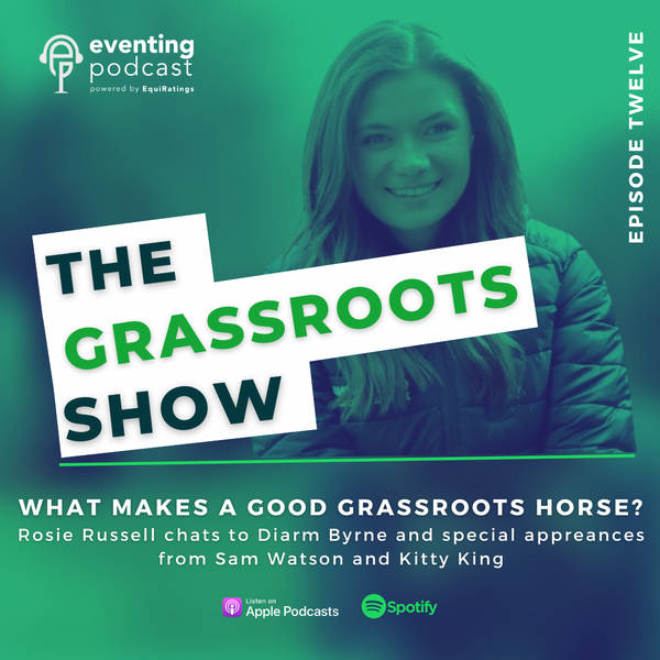 Grassroots Show: What Makes a Good Grassroots Horse?
