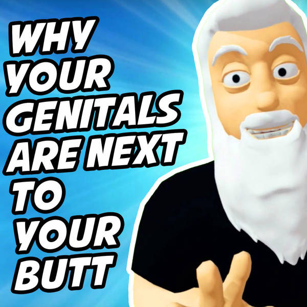 This Is Why Your Genitals Are Next To Your Butt