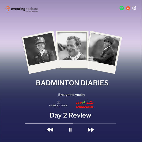 Badminton Diaries: Day 2 Review