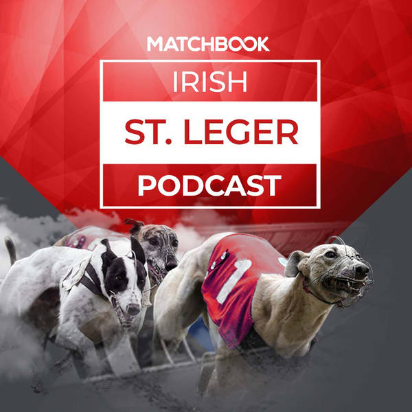 Greyhounds: Matchbook Irish St Leger Semi-Final