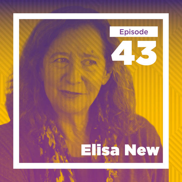 Elisa New on Poetry in America and Beyond