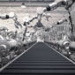 #130 — Universal Basic Income