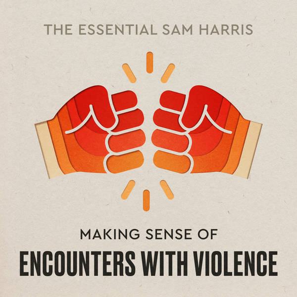 Making Sense of Encounters With Violence | Episode 4 of The Essential Sam Harris