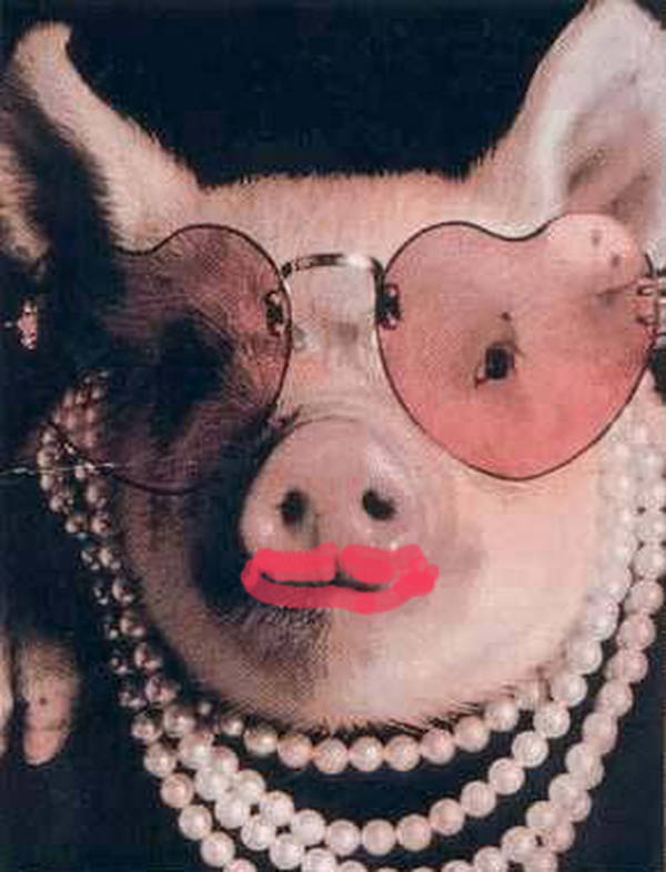 CACP - #110 - Some Terrific, Radiant, Pig