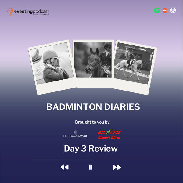 Badminton Diaries: Day 3 Review