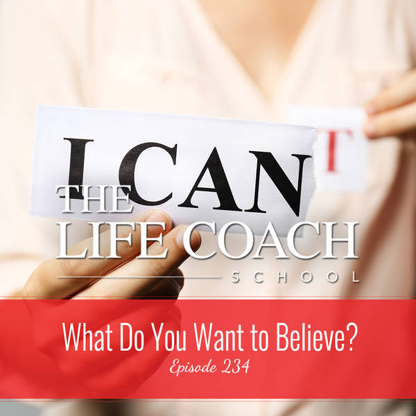Ep #234: What Do You Want to Believe?