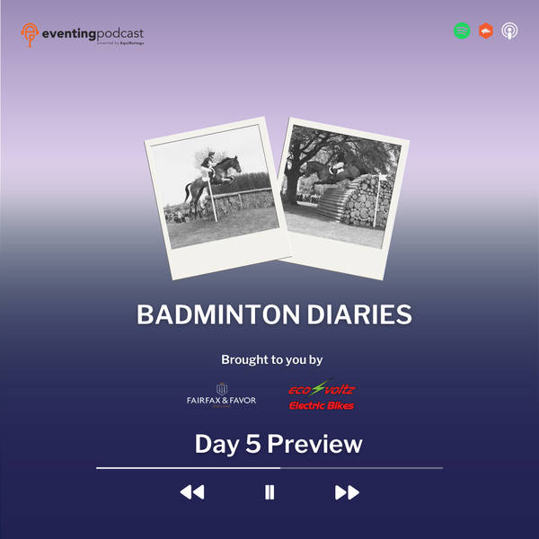 Badminton Diaries: Day 5 Preview