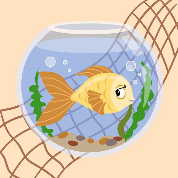 Learn How to Follow Your Dreams in this Enchanting Tale-Storytelling Podcast for Kids-The Goldfish:E183