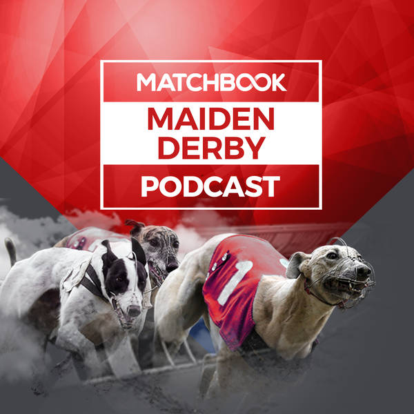 Greyhounds: Matchbook Maiden Derby Semi-Finals