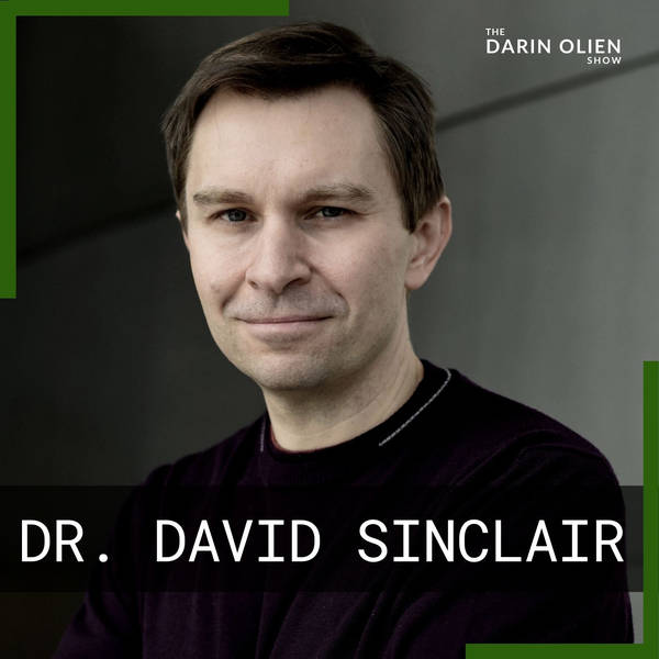 The Secrets of Longevity Genes | Dr. David Sinclair