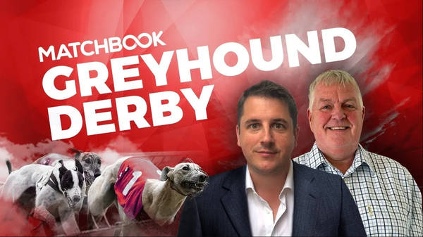 English Greyhound Derby 2024: Final Best Bets