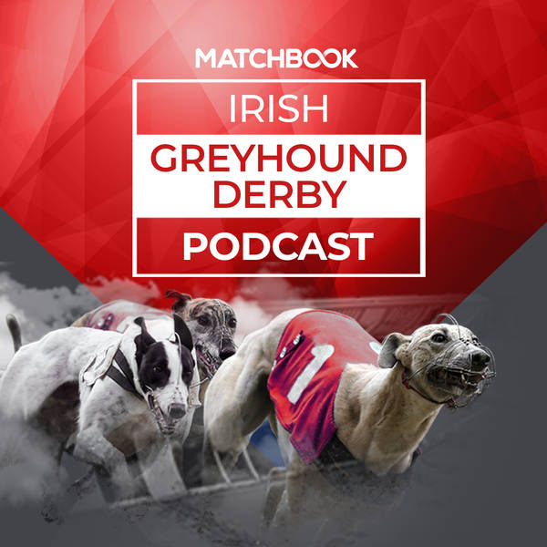 Greyhounds: Irish Greyhound Derby Preview - Ian Fortune | Paul Lawrence | Dylan Brennan