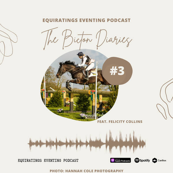 The Bicton Diaries #3: Felicity Collins