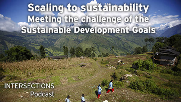Scaling to sustainability: Meeting the challenge of the Sustainable Development Goals