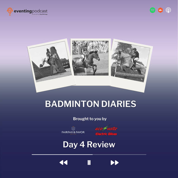 Badminton Diaries: Day 4 Review