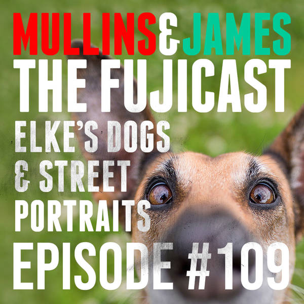#109 The dog whisperer, how to be a photographic humorist and more street portrait tips