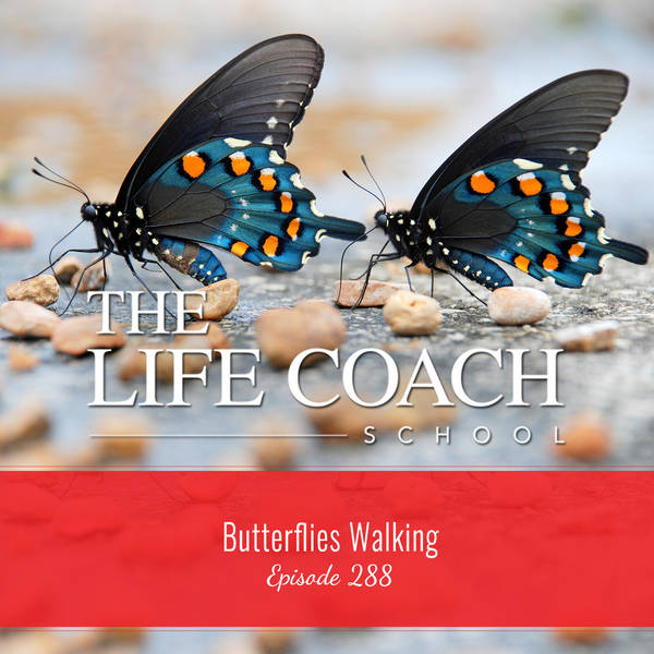 Ep #288: Butterflies Walking
