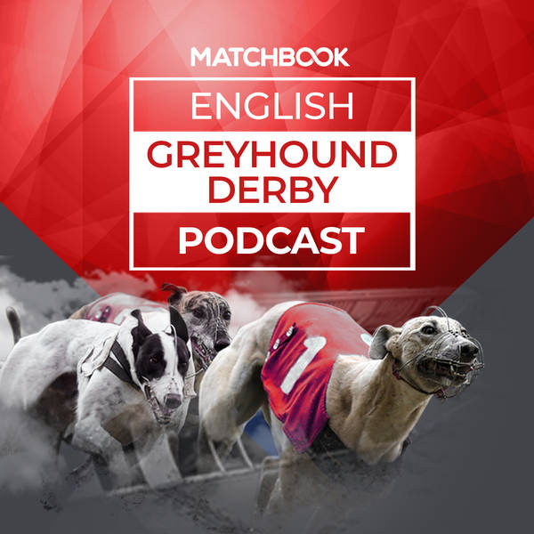 English Greyhound Derby 2023 Round 2 Heats | Best Bets