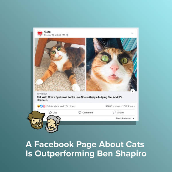 A Facebook Page About Cats Is Outperforming Ben Shapiro