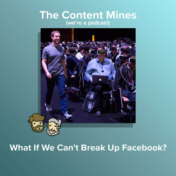 What If We Can't Break Up Facebook?